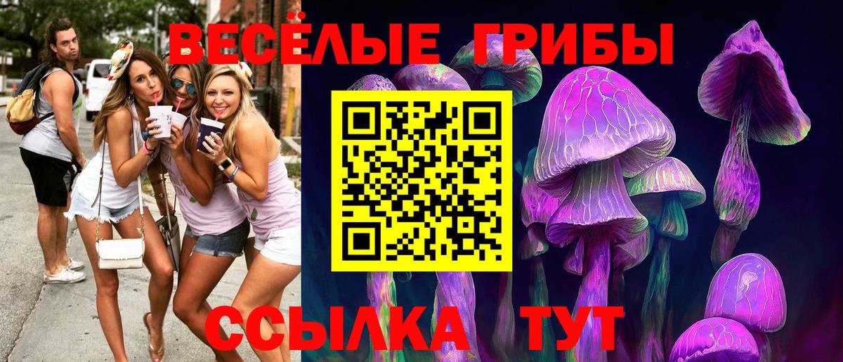 Галлюциногенные грибы MAGIC MUSHROOMS  Псилоцибиновые грибы Psilocybe  Анапа  Вход с VPN 